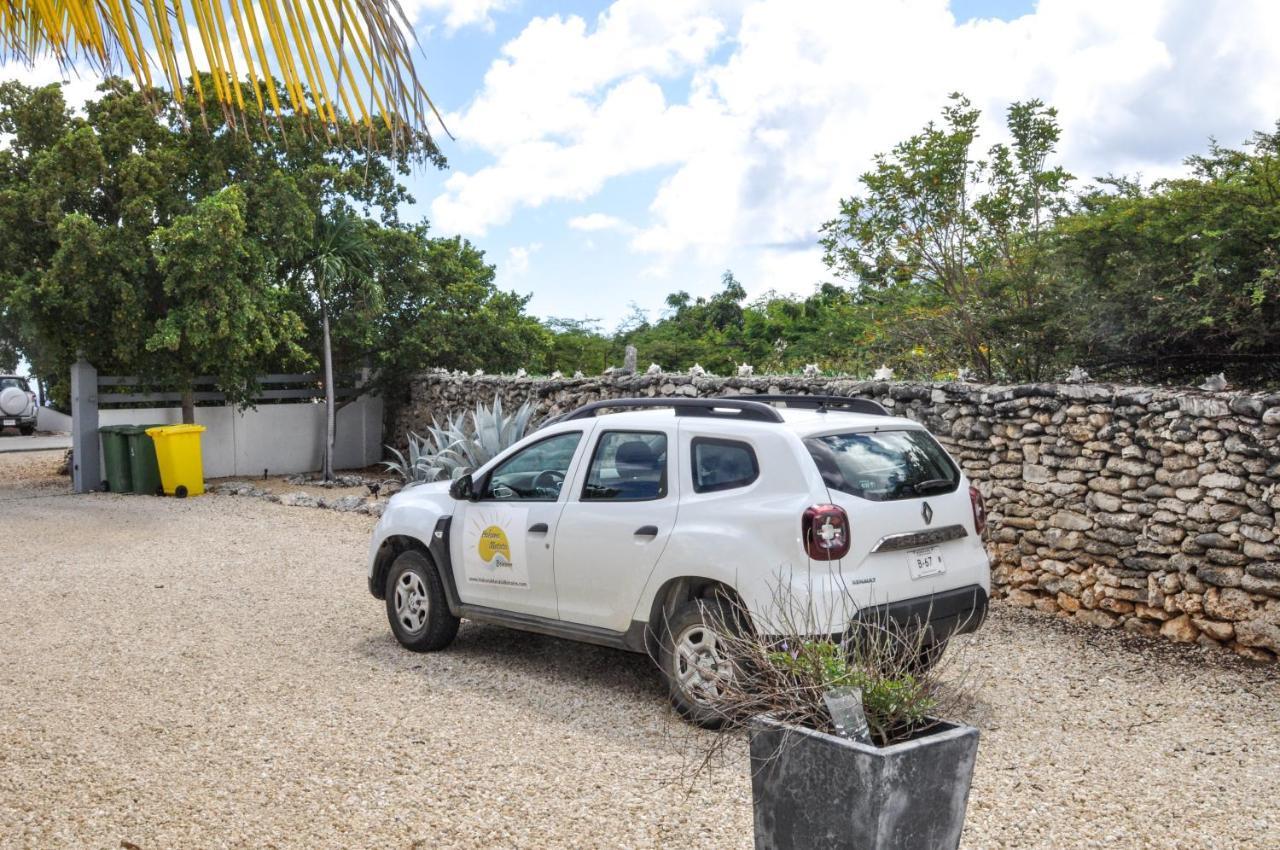 Bed and Breakfast Hakuna Matata Bonaire - Beach & Diving Playa Exterior foto