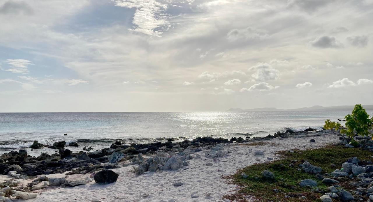 Bed and Breakfast Hakuna Matata Bonaire - Beach & Diving Playa Exterior foto