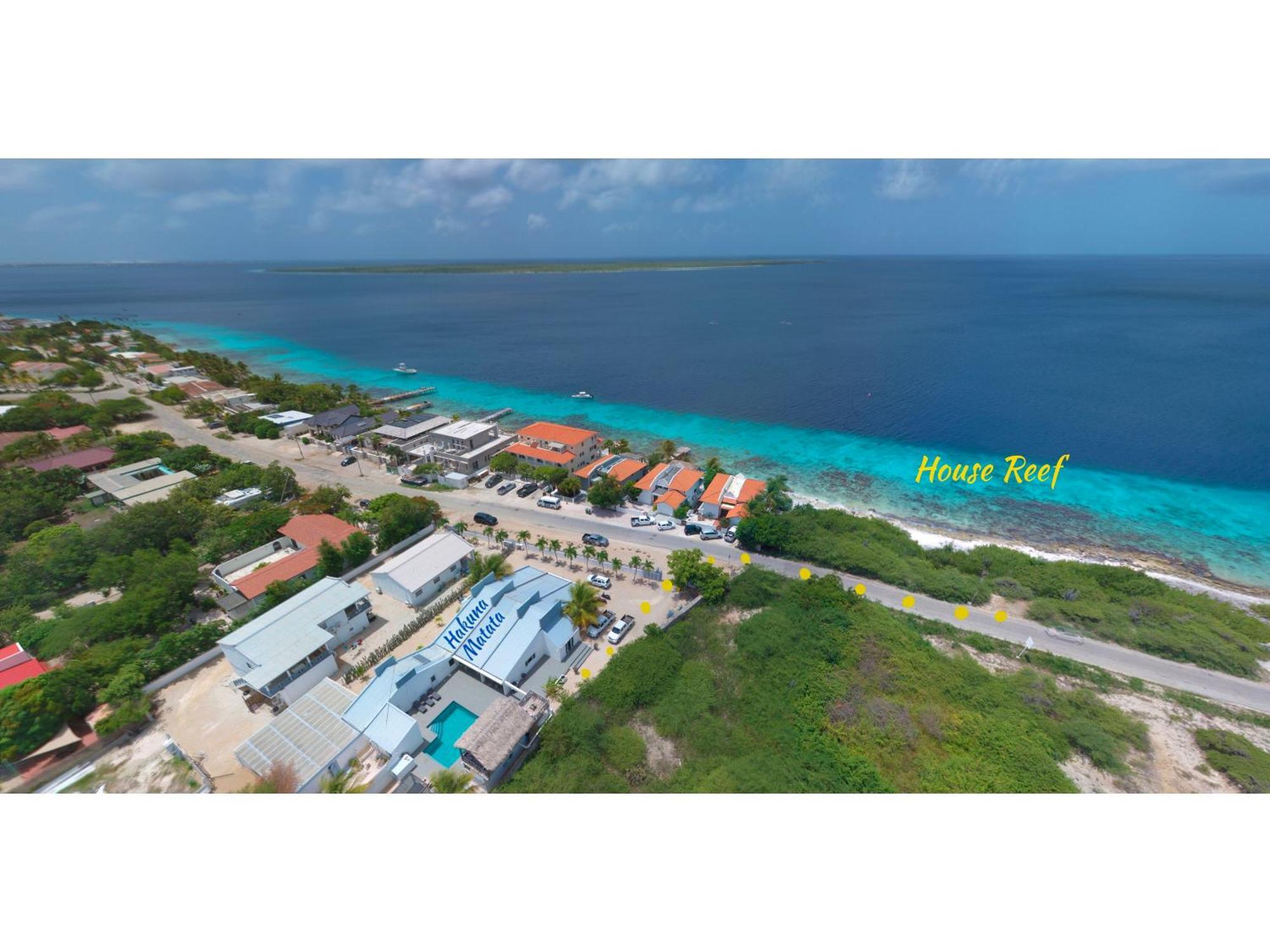 Bed and Breakfast Hakuna Matata Bonaire - Beach & Diving Playa Exterior foto